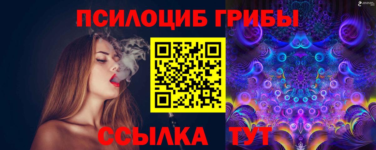 Мытищи  продажа наркотиков  Вход с VPN  Галлюциногенные грибы Psilocybine cubensis 