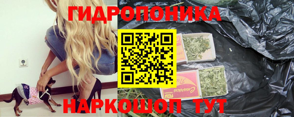Бошки марихуана семена Мытищи